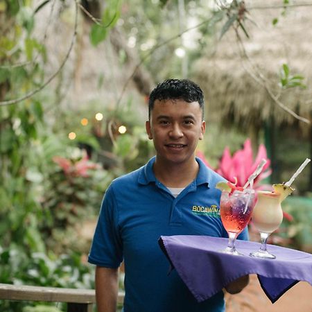 Bocawina Rainforest Resort Hopkins Eksteriør billede