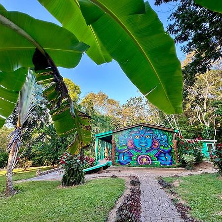 Bocawina Rainforest Resort Hopkins Eksteriør billede