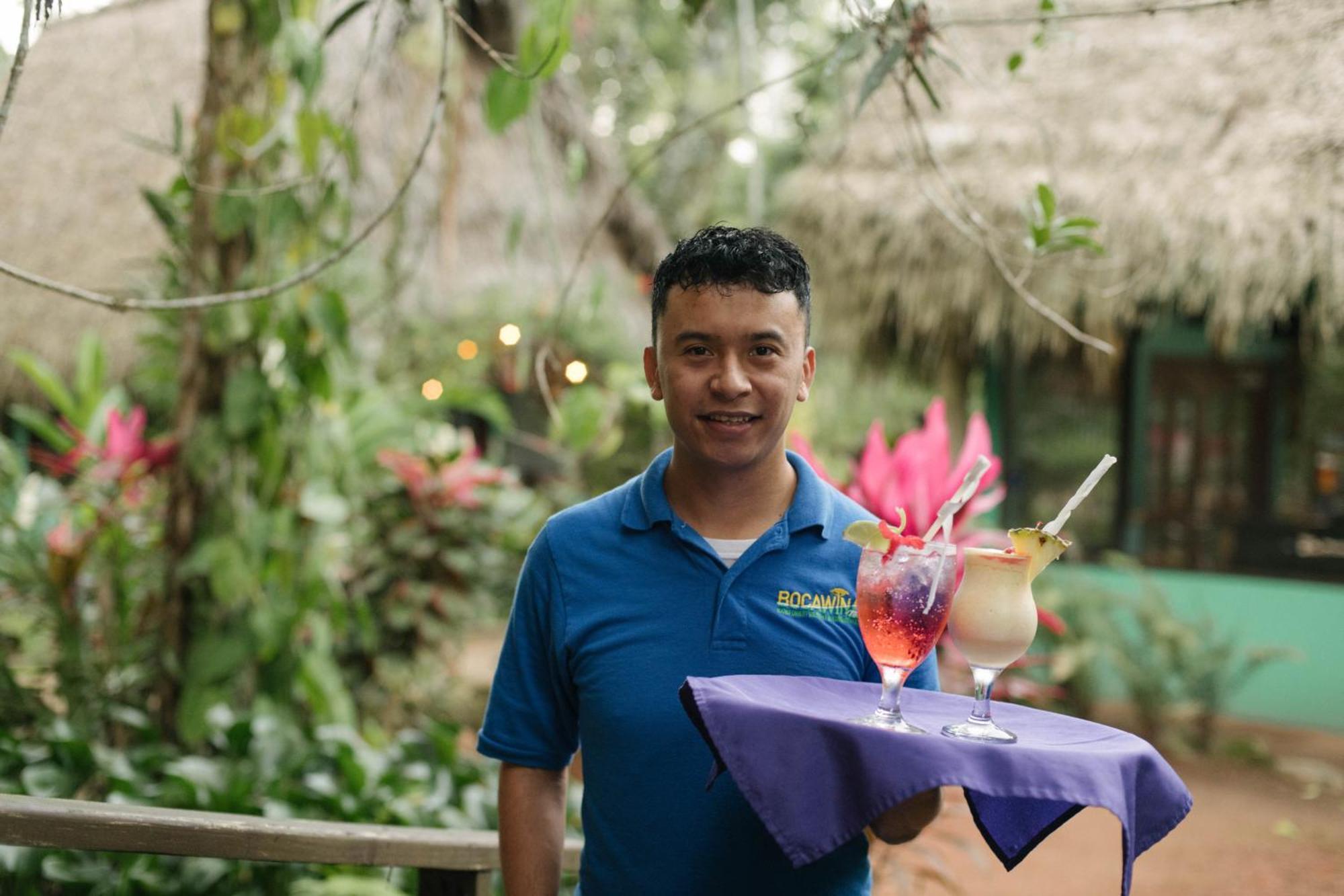 Bocawina Rainforest Resort Hopkins Eksteriør billede