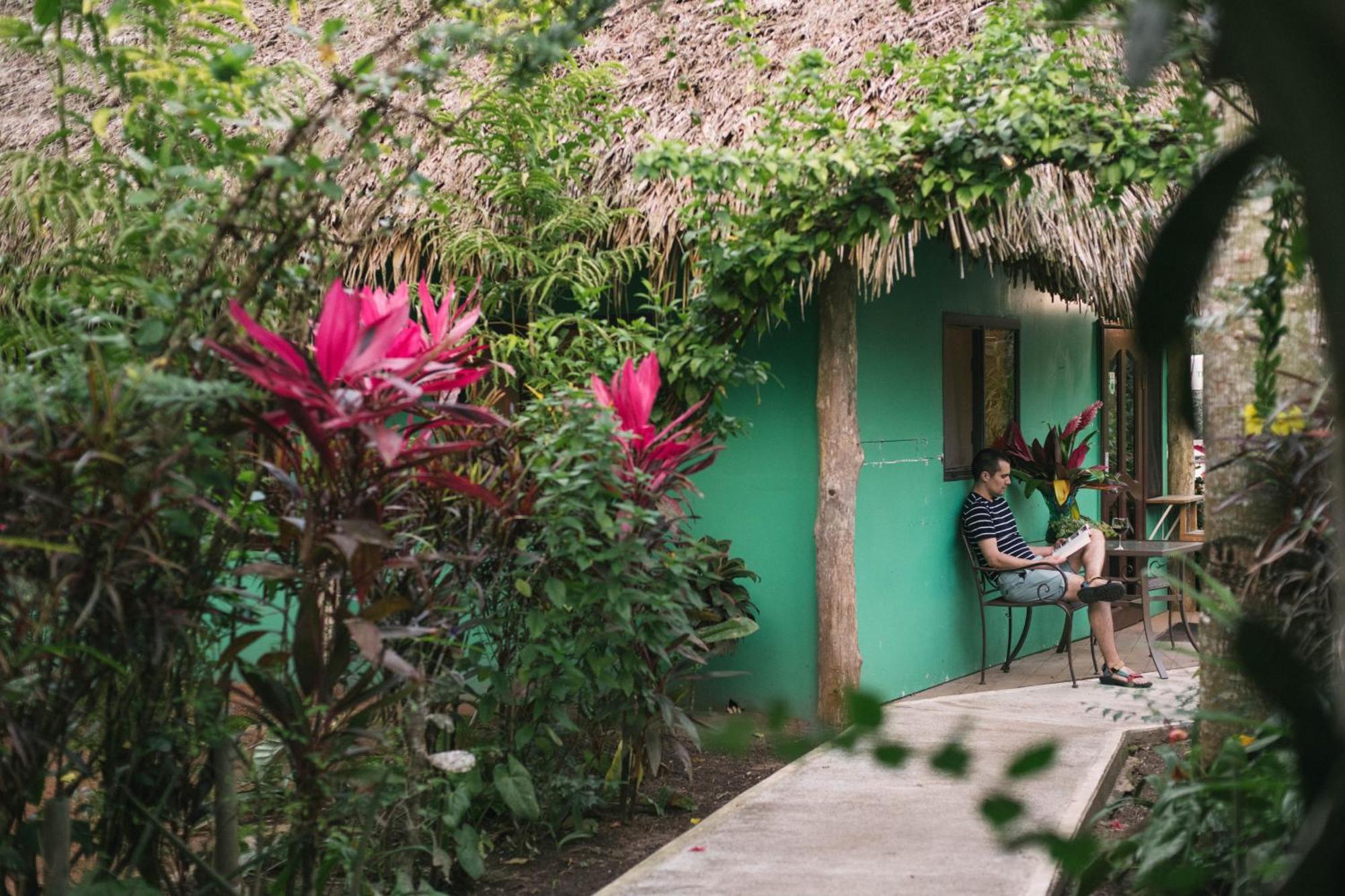 Bocawina Rainforest Resort Hopkins Eksteriør billede