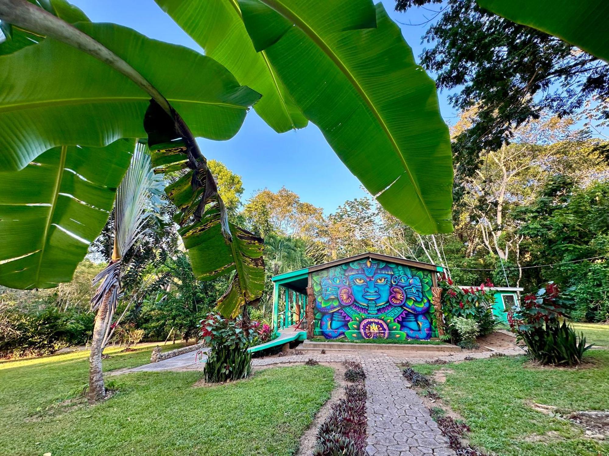 Bocawina Rainforest Resort Hopkins Eksteriør billede